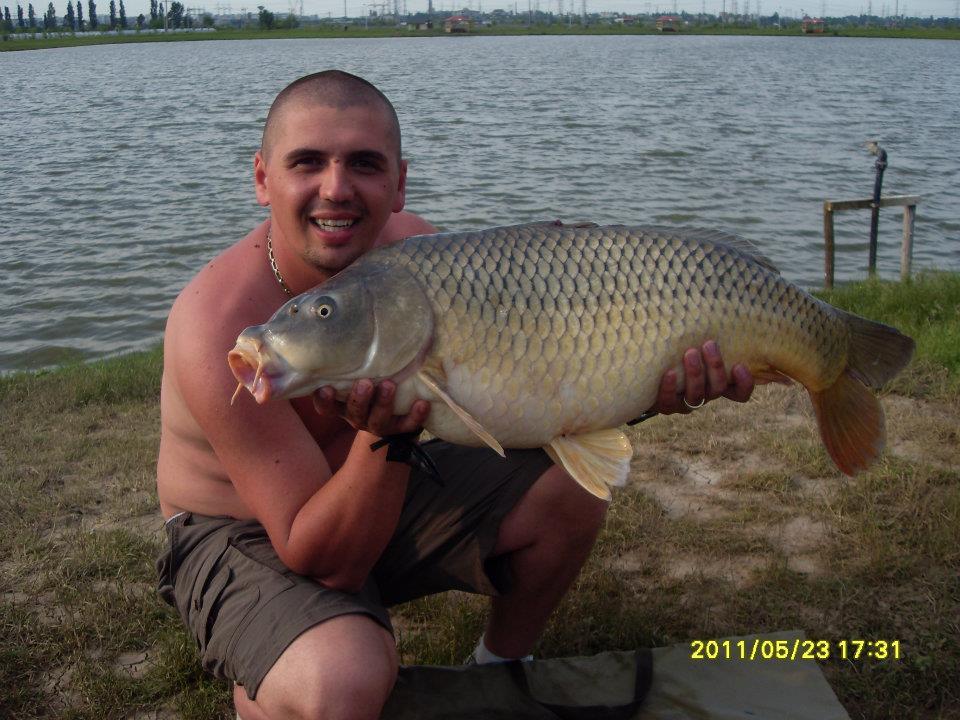 Crapturi - 3796251073865293767402040984745n.jpg